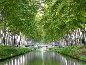 quartier amidonnier toulouse immobilier