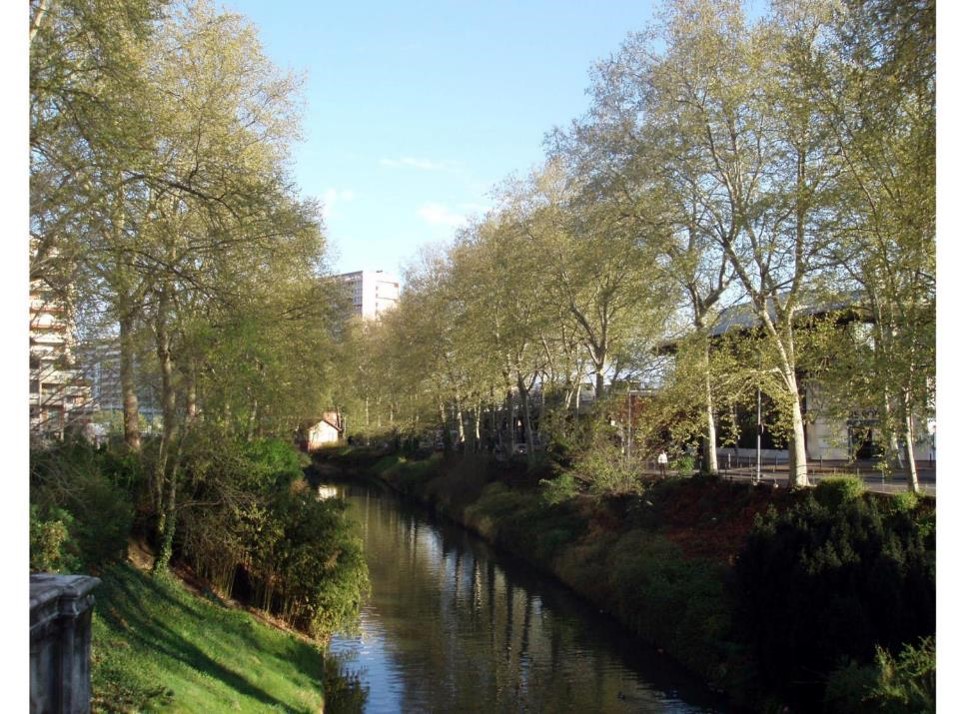 berges du canal du midi 3